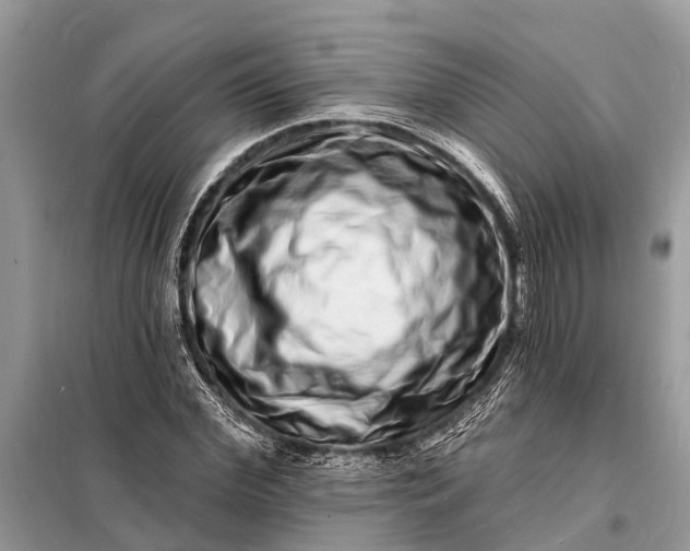 X0000098200972200805081107