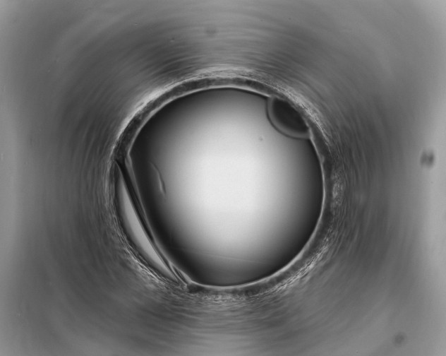 X0000098200973200805081107