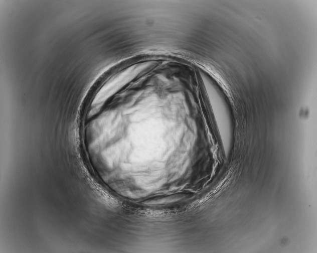 X0000098200976200805081107