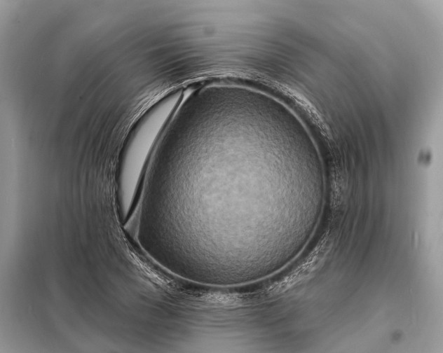X0000098200977200805081107
