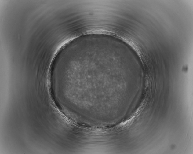 X0000098200979200805081107