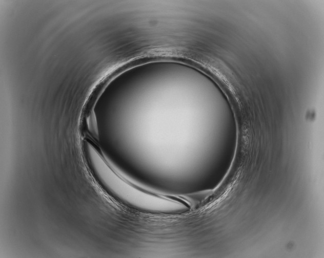 X0000098200981200805081107