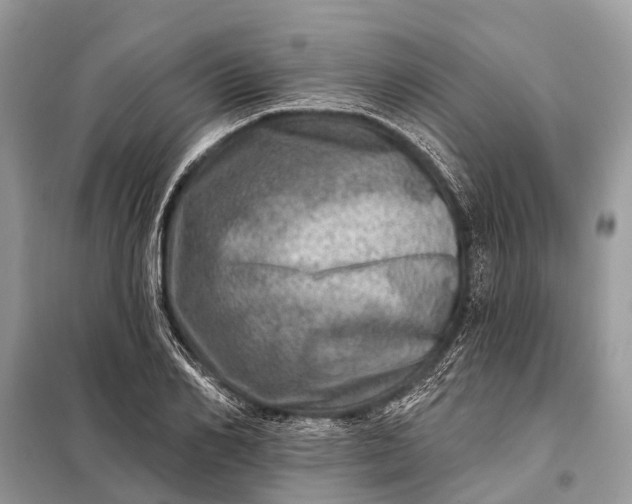 X0000098200982200805081107