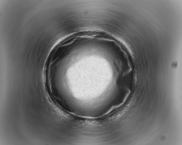 X0000098200983200805081107