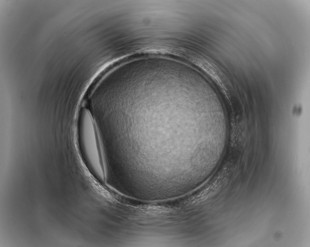 X0000098200984200805081107