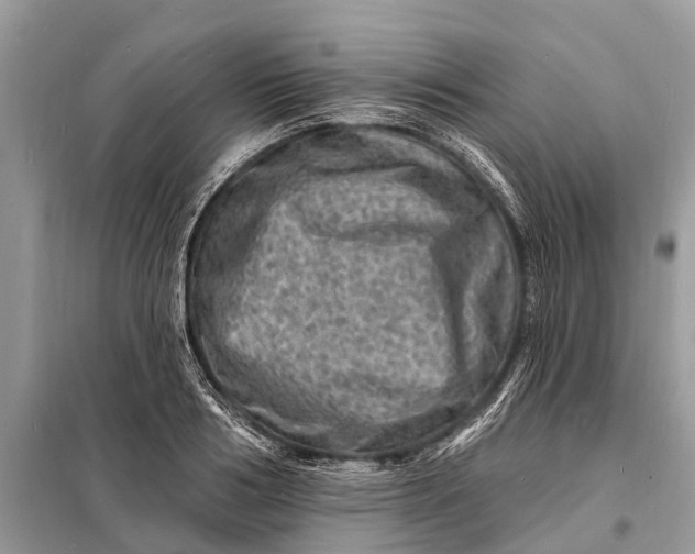 X0000098200986200805081107
