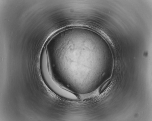 X0000098200988200805081107