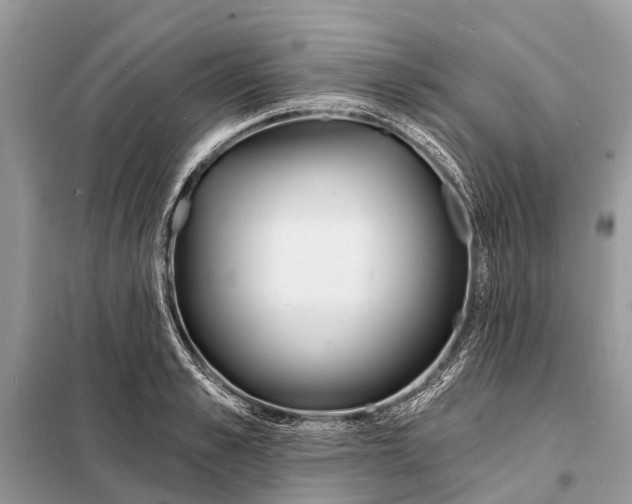 X0000098200989200805081107
