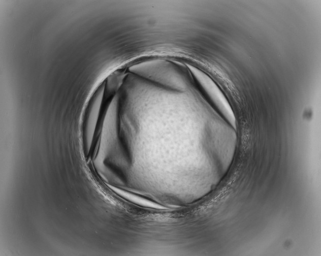X0000098200990200805081107