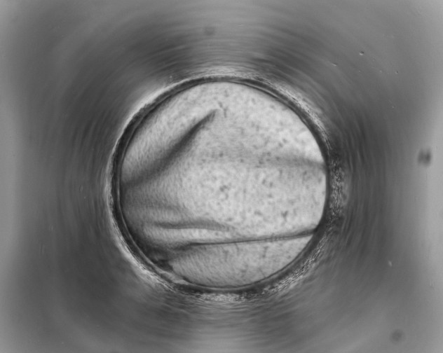 X0000098200991200805081107