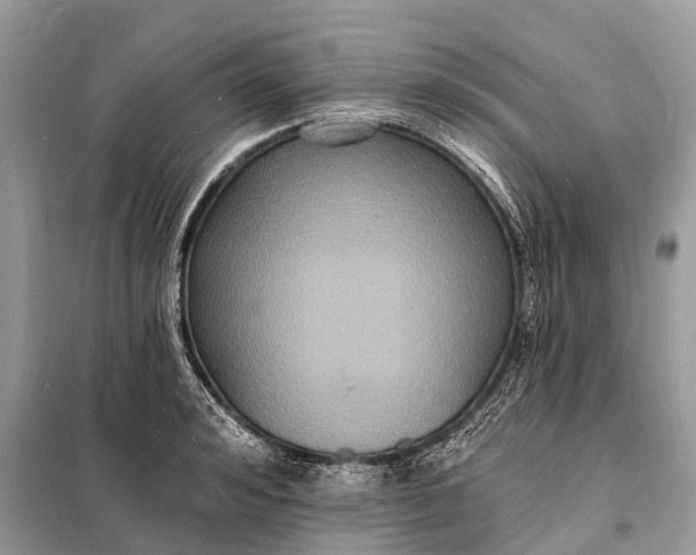 X0000098200992200805081107