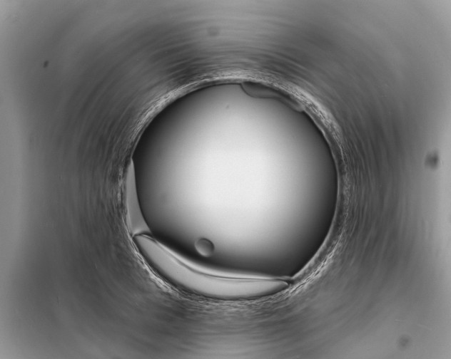 X0000098200993200805081107