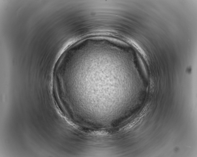 X0000098200994200805081107