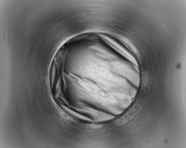 X0000098200996200805081107