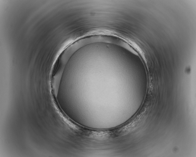 X0000098200997200805081107