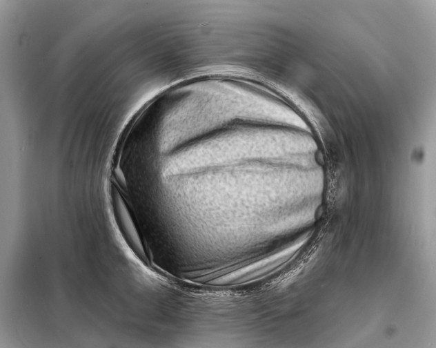 X0000098200999200805081107