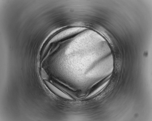 X0000098201000200805081107