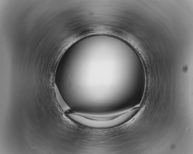 X0000098201001200805081107