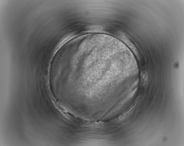 X0000098201002200805081107