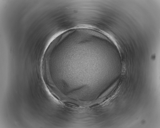 X0000098201003200805081107