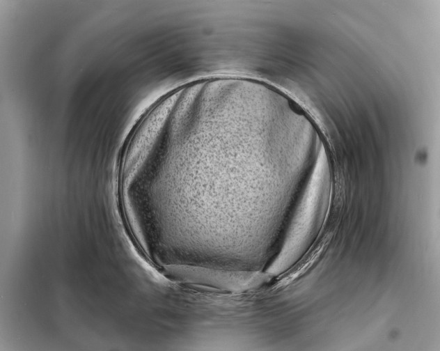 X0000098201006200805081107