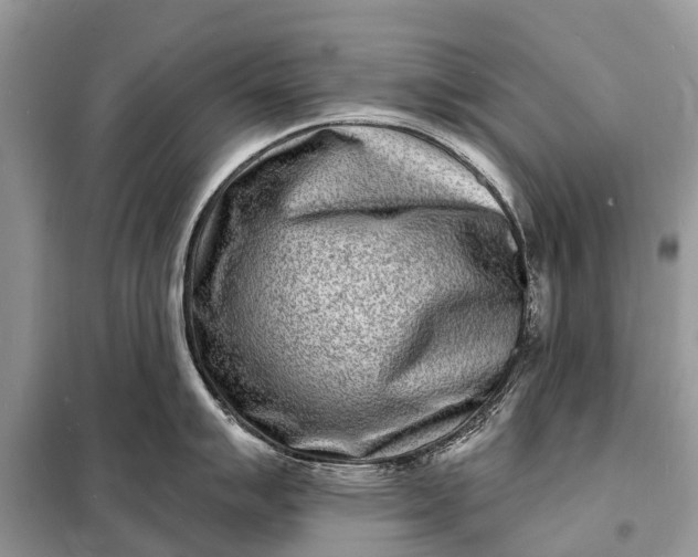 X0000098201007200805081107