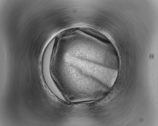 X0000098201008200805081107