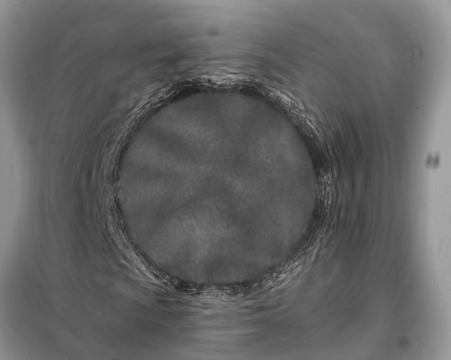 X0000098201009200805081106