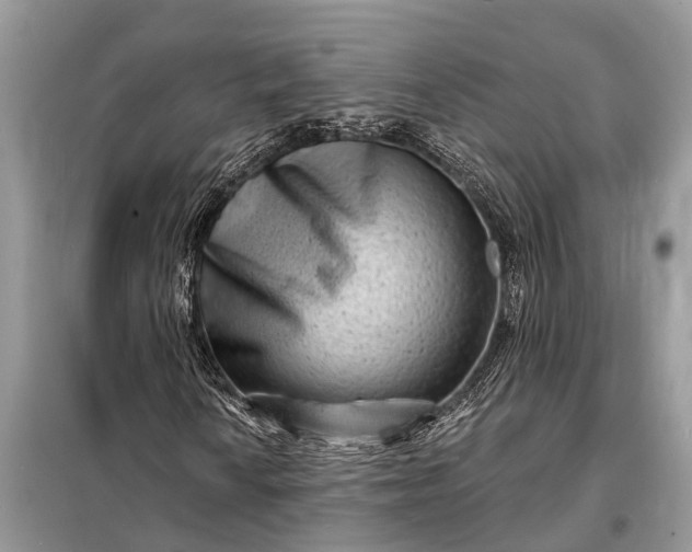 X0000098201010200805081106