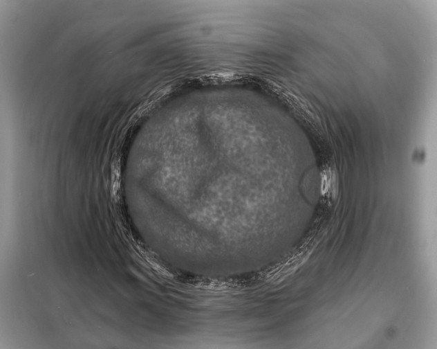 X0000098201011200805081106