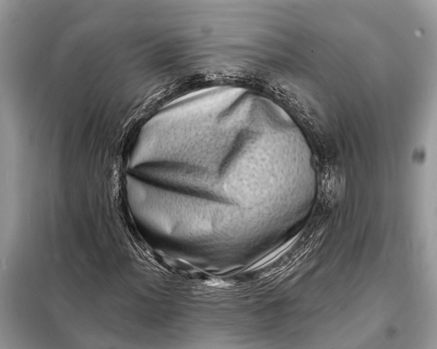 X0000098201012200805081106
