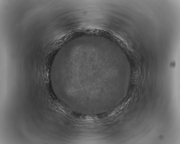 X0000098201013200805081106