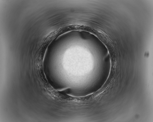 X0000098201014200805081106