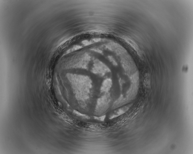 X0000098201015200805081106