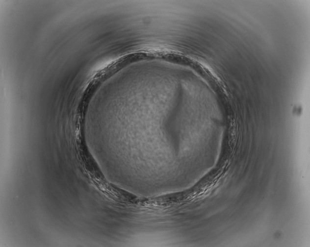 X0000098201016200805081106