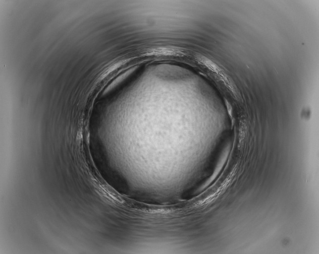 X0000098201017200805081106
