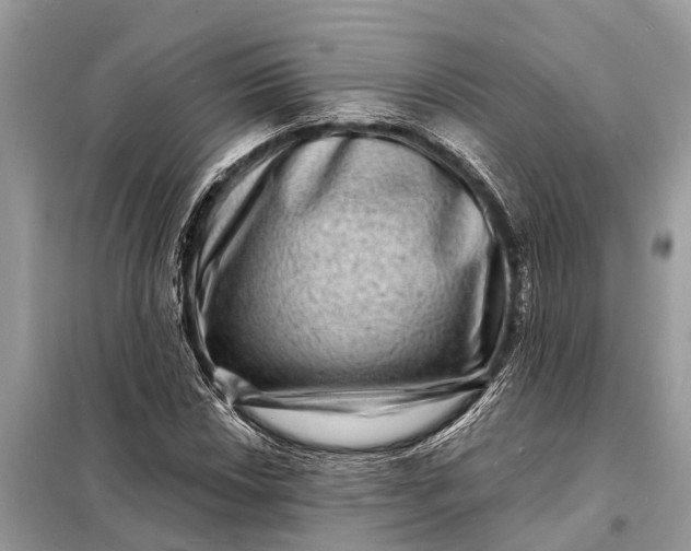 X0000098201018200805081106