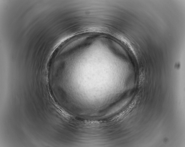X0000098201019200805081106