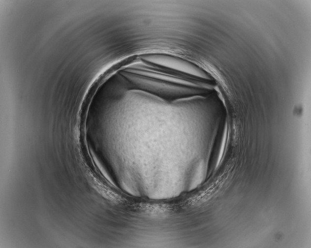 X0000098201020200805081106