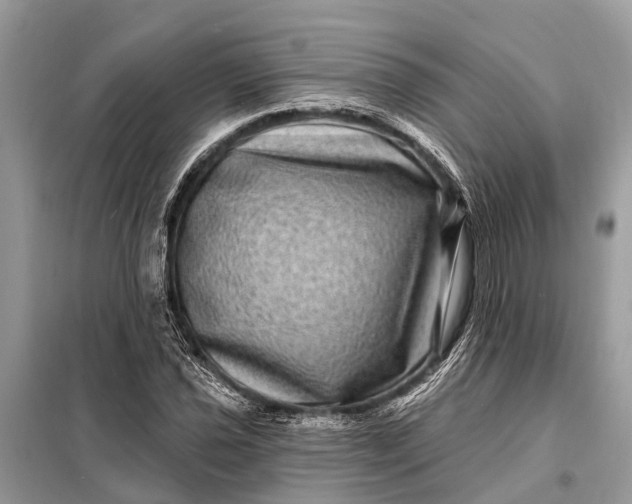 X0000098201021200805081106