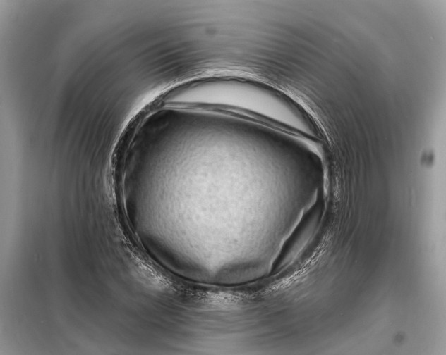 X0000098201022200805081106