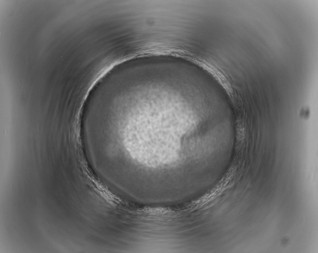 X0000098201023200805081106