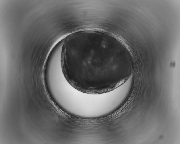 X0000098201024200805081106
