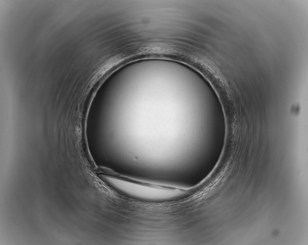 X0000098201025200805081106