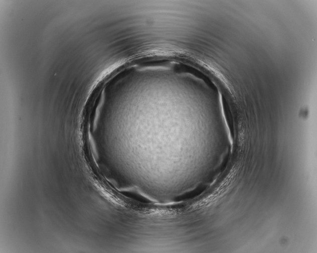 X0000098201026200805081106