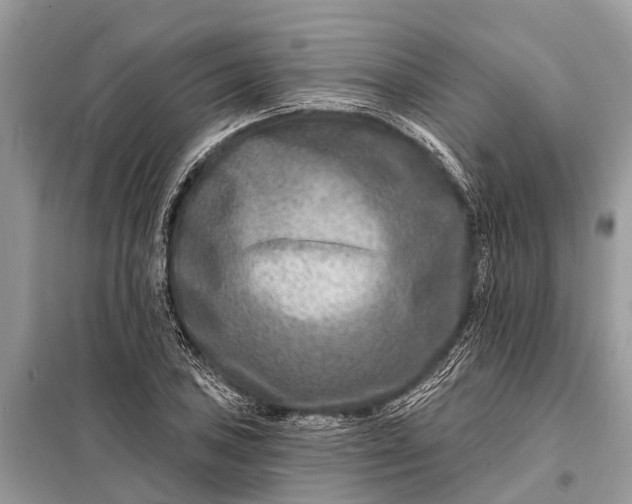 X0000098201027200805081106