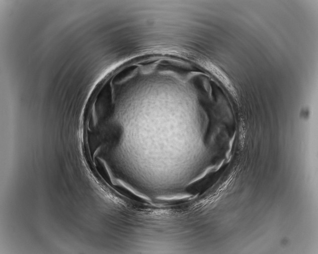 X0000098201028200805081106