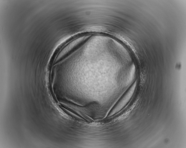 X0000098201029200805081106