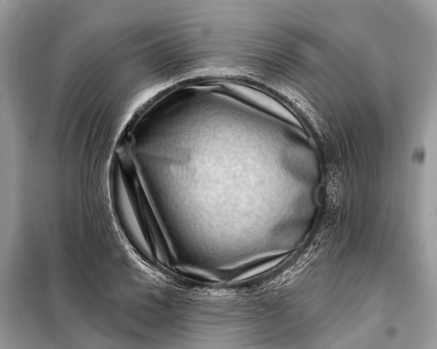 X0000098201030200805081106