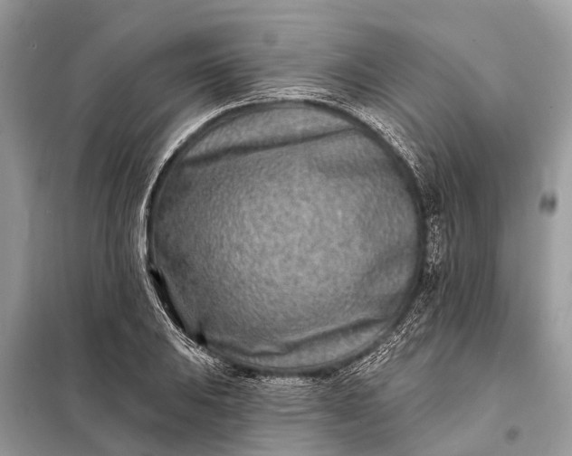X0000098201031200805081106